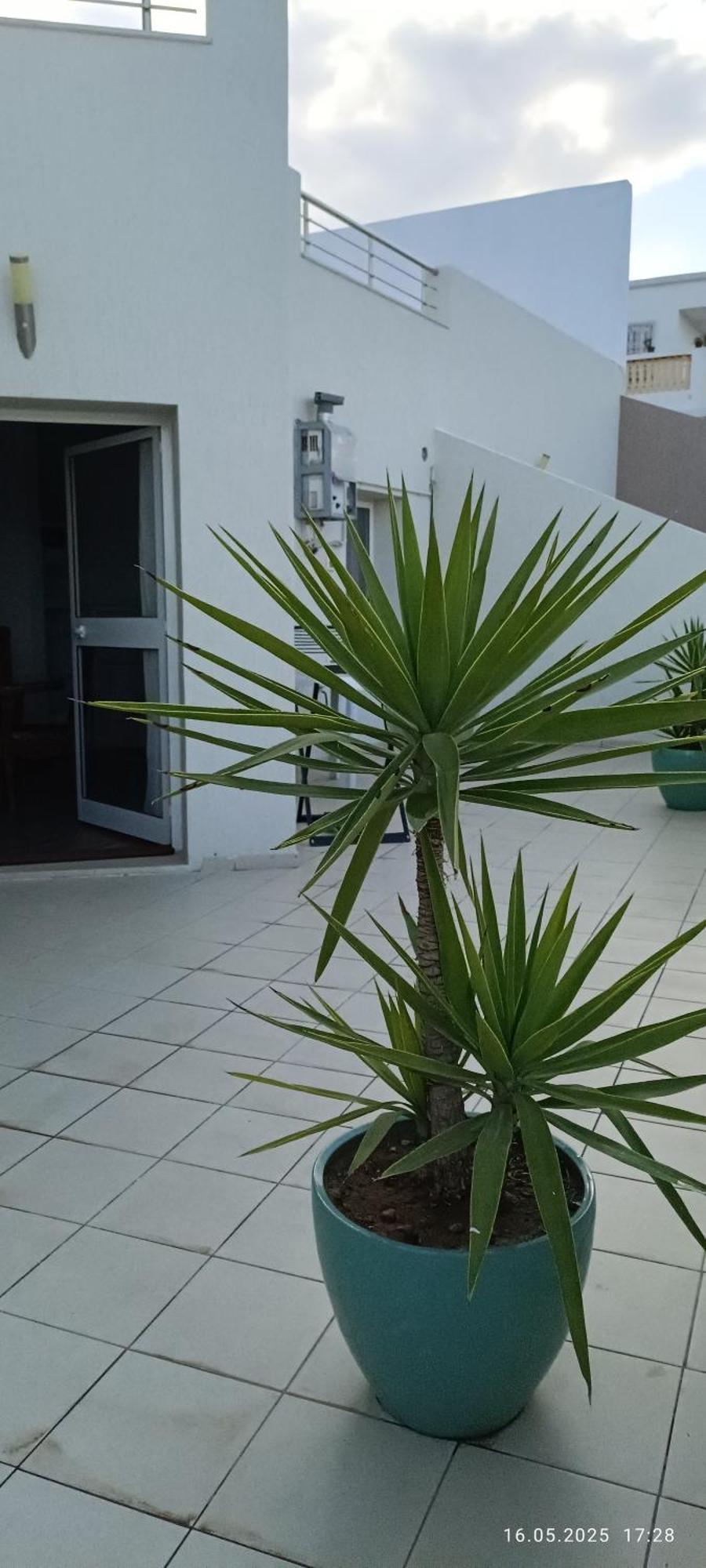 Residence Debbabi Sans Coupure D'Eau Монастір Номер фото